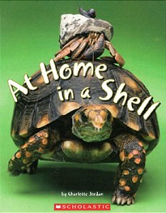 at home In a shell