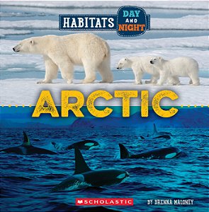 arctic