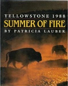 summer of fire