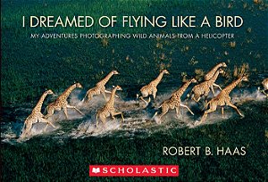 I dreamed of flying like a bird