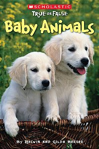 baby animals