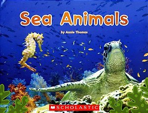 Sea Animals