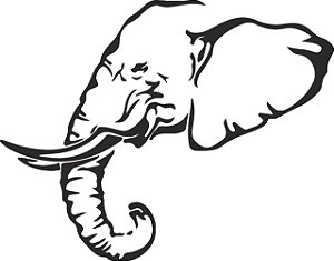 Quadro Elefante