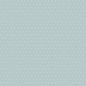 Coleção Serenity - Mini Poá Listras - 10 FLS