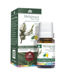 Óleo Essencial Melaleuca Tea Tree 5ml