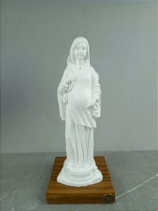 Nossa Senhora Grávida 20cm