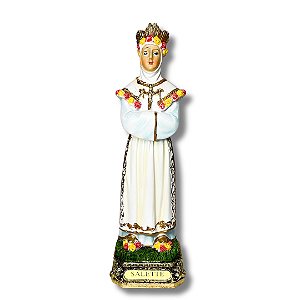 Imagem em Resina de Nossa Senhora de La Salette - 22cm