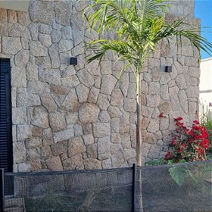 Pedra Moledo Natural Champanhe - M²