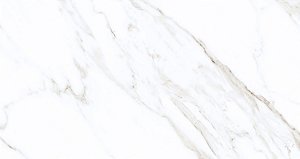 Piso Cerâmico Viena Polido 62x119cm - M2