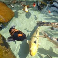 Areia para Lago Ornamental - Tonelada