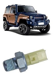 Sensor Cebolinha De Pressão De Óleo Troller T4 Original 3S719278AB