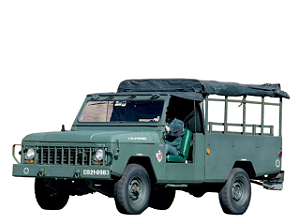 CAPOTA ENGESA E34