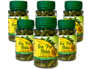 Ora Pro Nobis PREMIUM 500mg -  90 Capsulas - Kit com 6 frascos