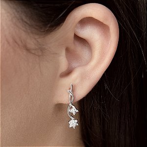 Brincos Flores com Zircônias Prata 925 - BPR773