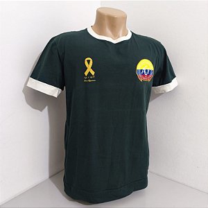 Chapecoense Homenagem Tam G