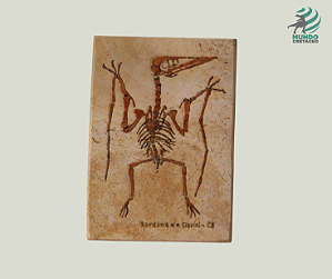 DECORATIVO EM PEDRA CARIRI 20x19 cm