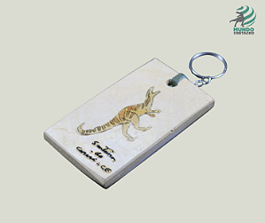 CHAVEIRO PEDRA CARIRI - PSP