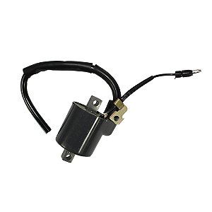 BOBINA DE IGNICAO TWISTER250 2001 A 2008/TORNADO250 2001 A 2008