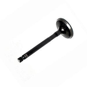 VALVULA DE ADMISSAO YBR125 2000 A 2008/XTZ125 2003 A 2016/FACTOR125 2009 A 2016