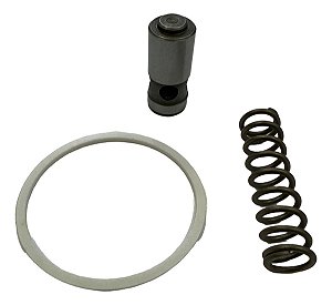 Kit Reparo Bomba Oleo Motor Mwm Sprint 4.07 4.08 6.07