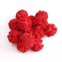 Pompom de Malha (Renda) - 2,5cm - Vermelho - Unidade