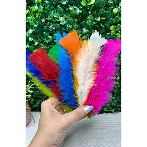 Penas Coloridas para Artesanato 10 Unidades mistas