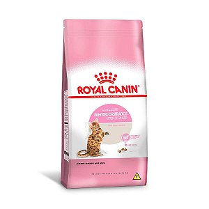 Ração Royal Canin Feline Kitten Filhotes Sterilised 1,5Kg