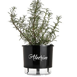 Vaso Autorrigável Preto Alecrim N03