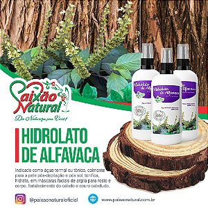 Hidrolato de Alfavaca (Indisponível - Entressafra das plantas)