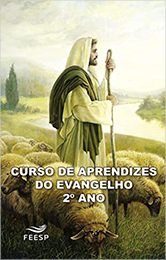 Curso de Aprendizes do Evangelho – 2º Ano