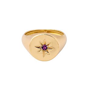 Anel Birthstone Fevereiro (ametista)