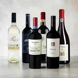 Kit Para Surpreender E Acertar Em Cheio 6 Garrafas