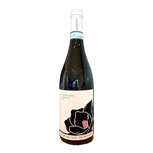 Magnólia Montepulciano D'Abruzzo 2023