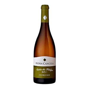 Pedra Cancela Vinhas da Fidalga 2022 Vinho branco português do Dão