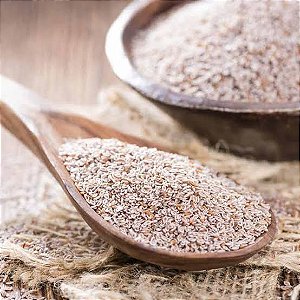 PSYLLIUM EM PÓ 100G - A GRANEL