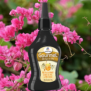 Molho Gourmet à base de Mel Puro e Mostarda - 375g