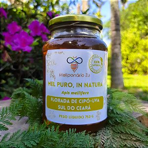 Mel Puro, Florada de Cipó-Uva, In Natura, 100% Natural, Cru, Sem Aquecimento - 750 gramas, Serra de Araripe, Sul do Ceará
