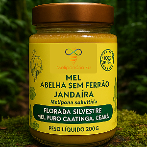 Mel de Abelha Sem Ferrão Jandaíra (Melipona subnitida) - 200g - Mel Puro, Cru, Sem Aquecimento da Caatinga, Ceará