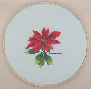 Flor de Natal