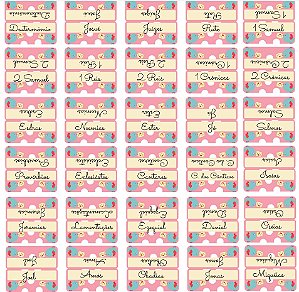 Abas Adesivas para Bíblia Laminadas Rosa com Passarinho - Divisórias com Nomes dos Livros