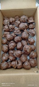 COCADA COBERTA COM CHOCOLATE CAIXA 3KG DIRETO FABRICA ATACADO
