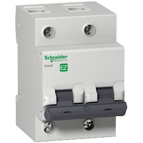 Mini Disjuntor Schneider K32a 2P C 100A 4,5 KA 240/415V - K32A2C100
