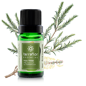 Óleo Essencial Tea Tree 10ml - Terra Flor