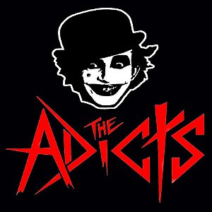 CAMISETA BANDA THE ADICTS 30.1 FIOS COSTURA REFORÇADA