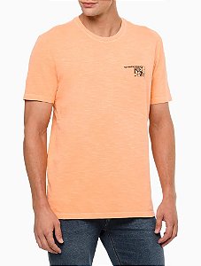 Camiseta Calvin Klein Infantil Menino – Summer Essence Importada