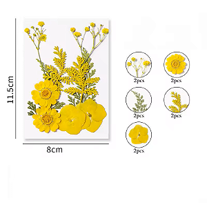 Flor Seca Amarela Cartela