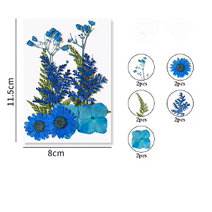 Flor Seca Azul Cartela