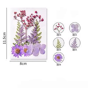 Flor Seca Lilás Cartela