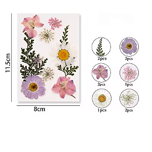 Flor Seca Rosa Branca e Lilás Cartela