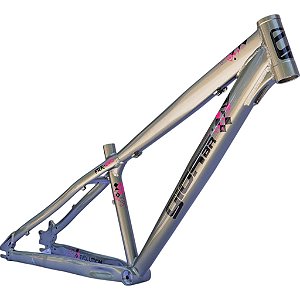 QUADRO GIOSBR FRX-EVO TITANIO - PRETO/ROSA